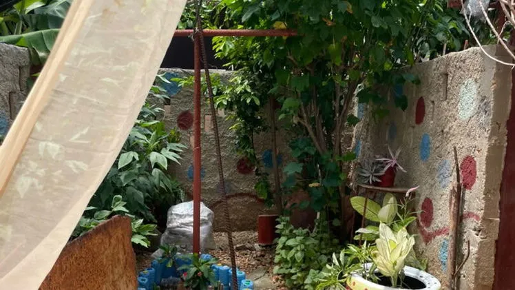 Vista de la propiedad 8