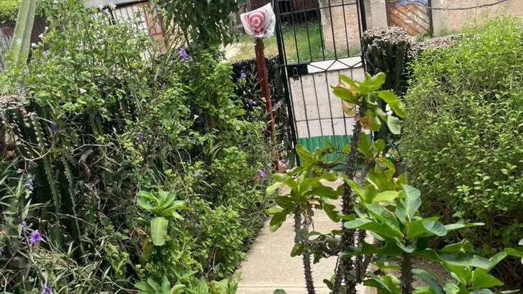 Vista de la propiedad 9