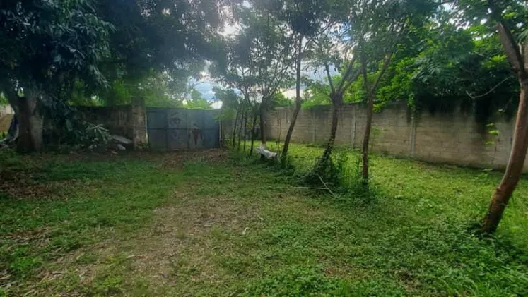 Venta de finca en la lisa me ajusto bastante