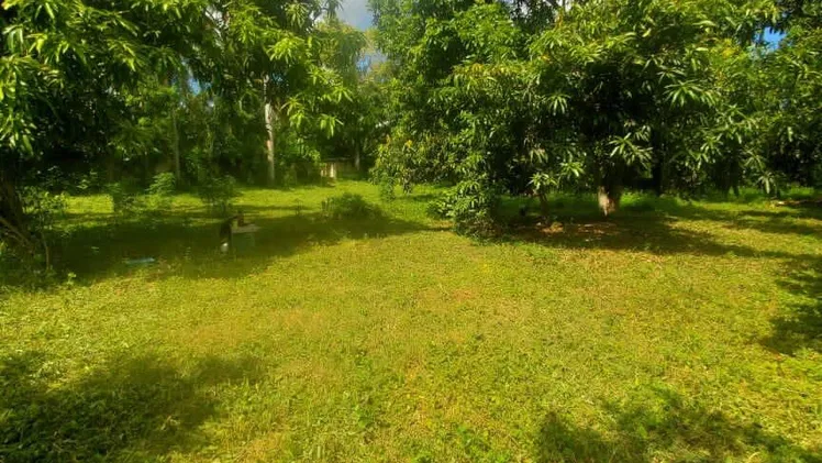 Property view 7