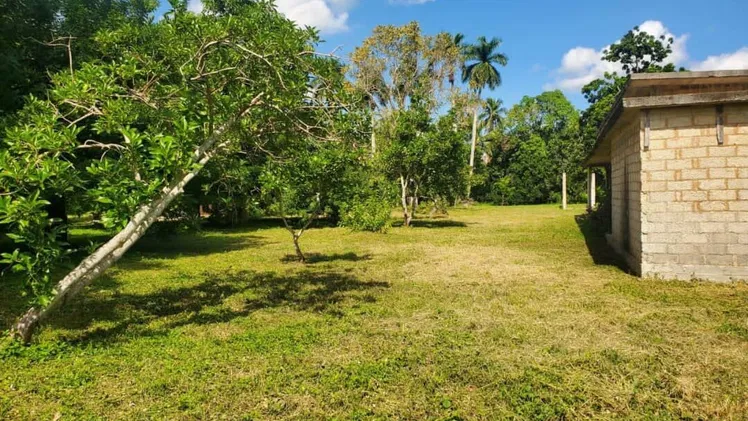 Property view 8