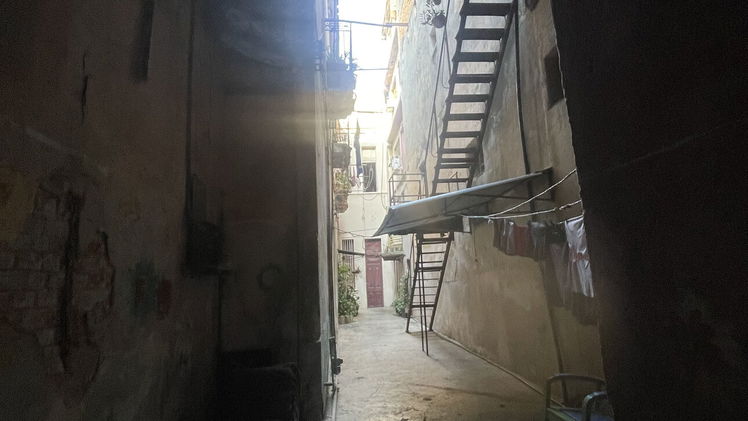 Property view 6