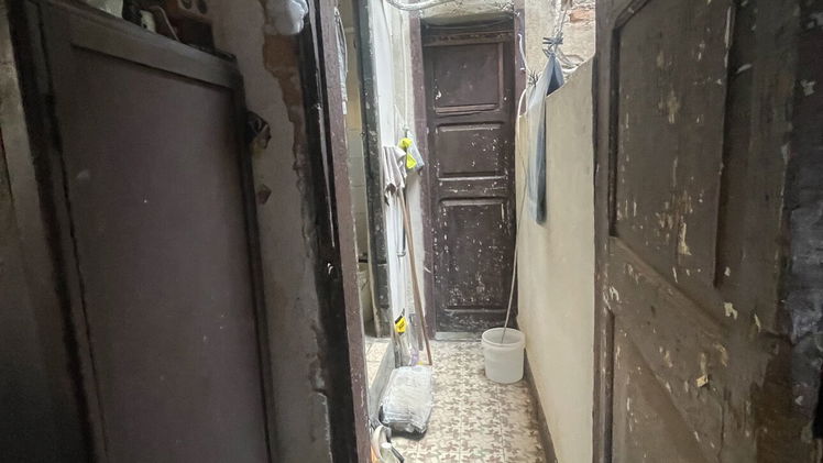 Property view 8