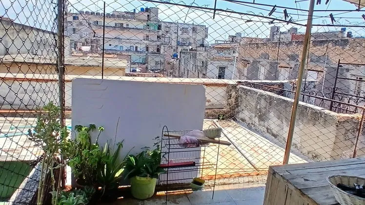 Vista de la propiedad 5