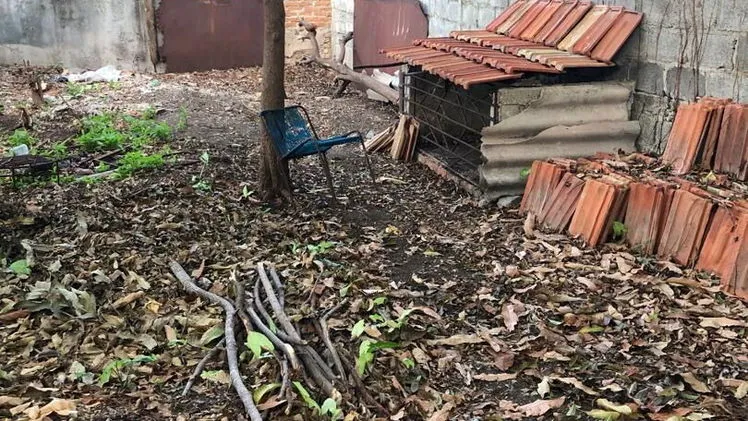 Property view 9