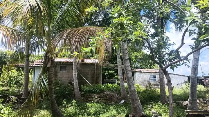 Vista de la propiedad 3