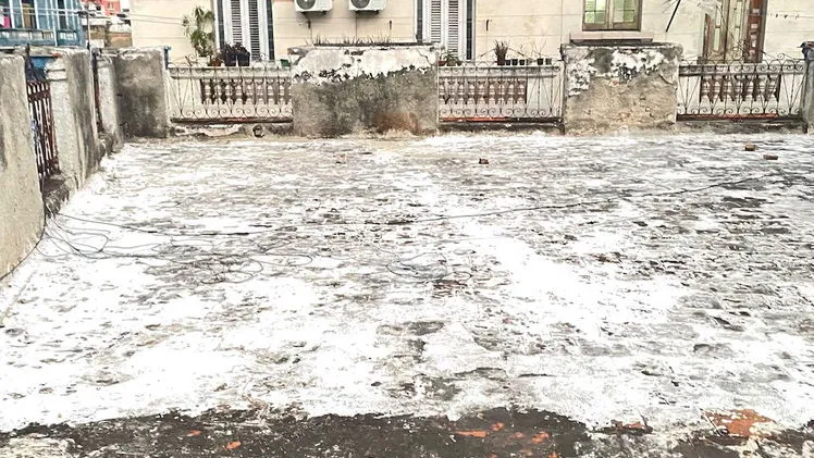 Vista de la propiedad 5