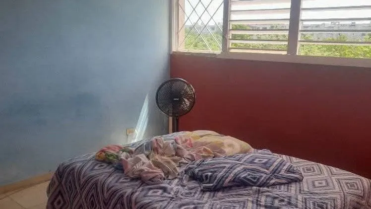 Vista de la propiedad 5