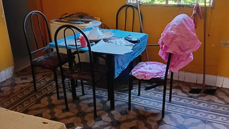 Vista de la propiedad 5