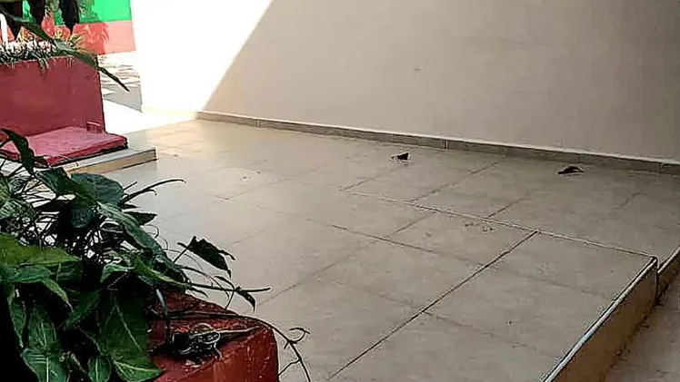 Vista de la propiedad 4