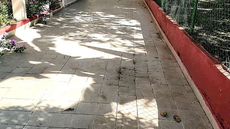 Vista de la propiedad 5