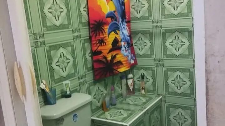 Vista de la propiedad 5