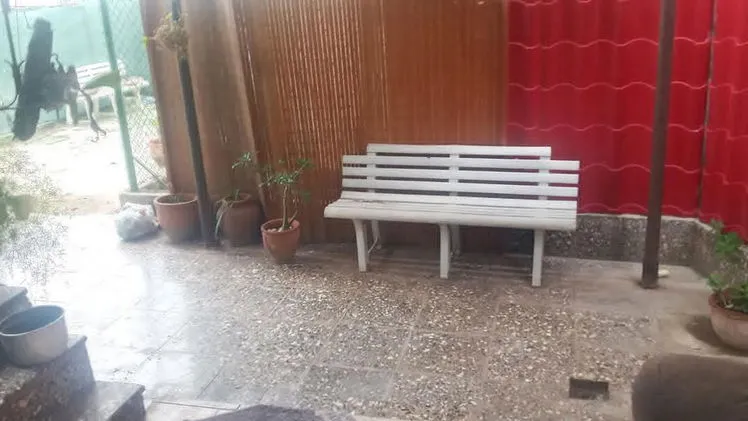 Vista de la propiedad 9