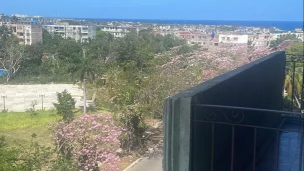Vista de la propiedad 3