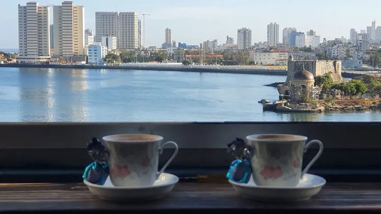 Vista de la propiedad 6