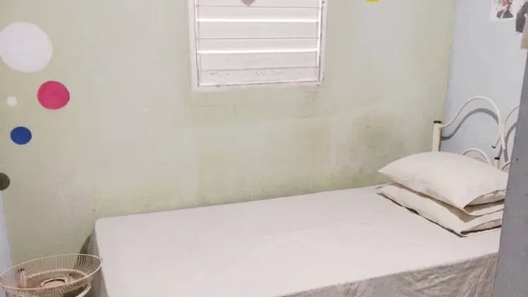 Vista de la propiedad 8