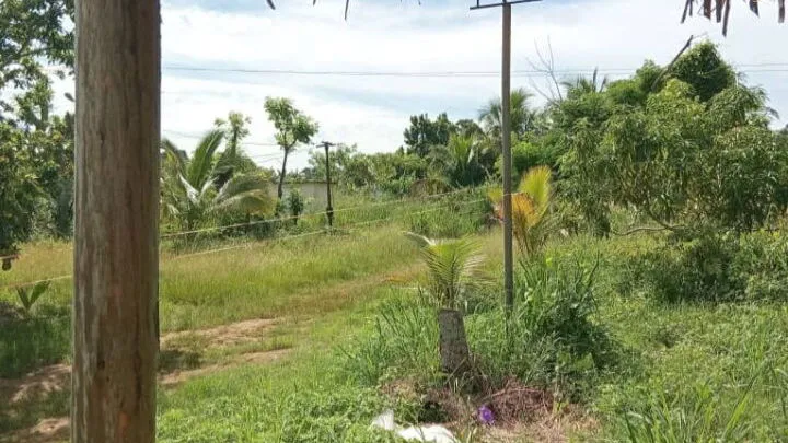 Vista de la propiedad 3