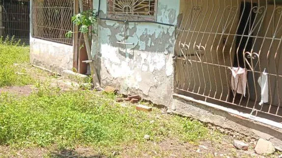Vista de la propiedad 2