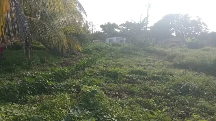 Vista de la propiedad 4
