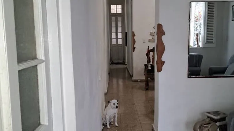Vista de la propiedad 6