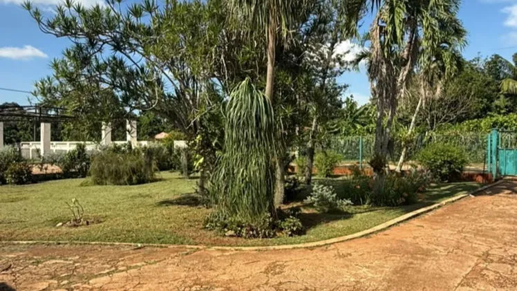 Vista de la propiedad 4