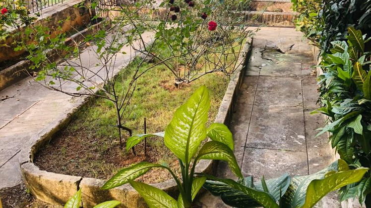 Property view 8