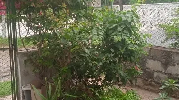 Property view 2