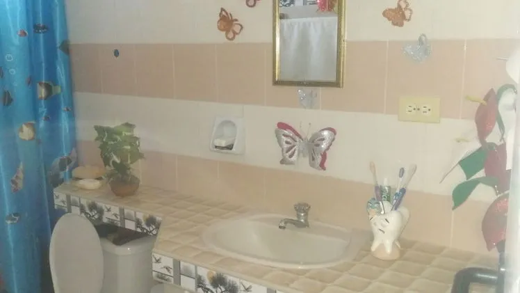 Vista de la propiedad 8