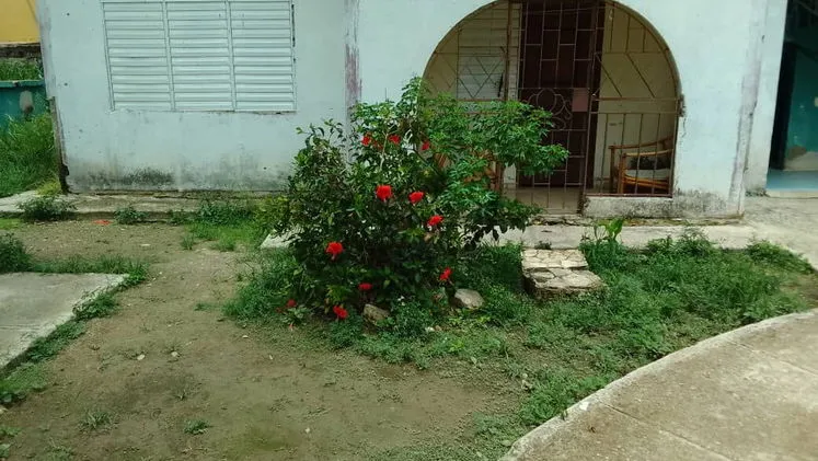 Vista de la propiedad 7
