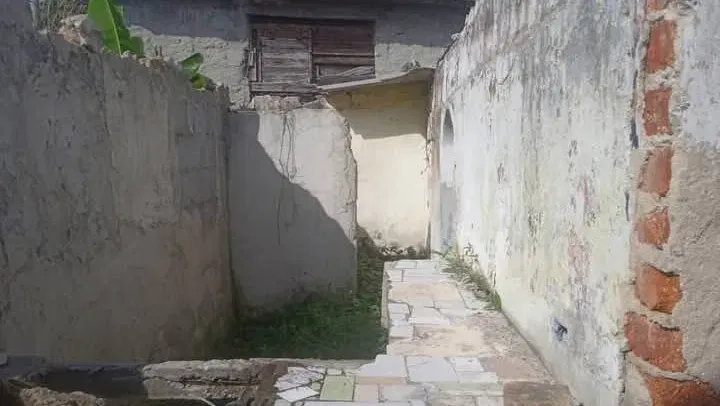 Vista de la propiedad 4