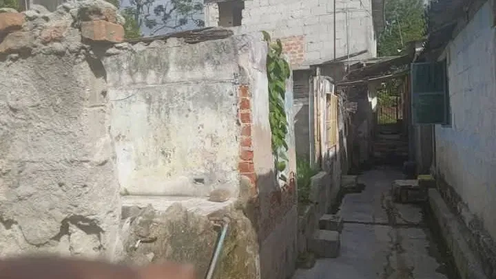 Vista de la propiedad 7