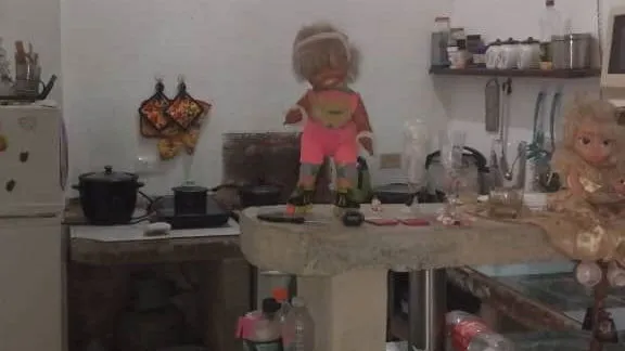 Vista de la propiedad 6