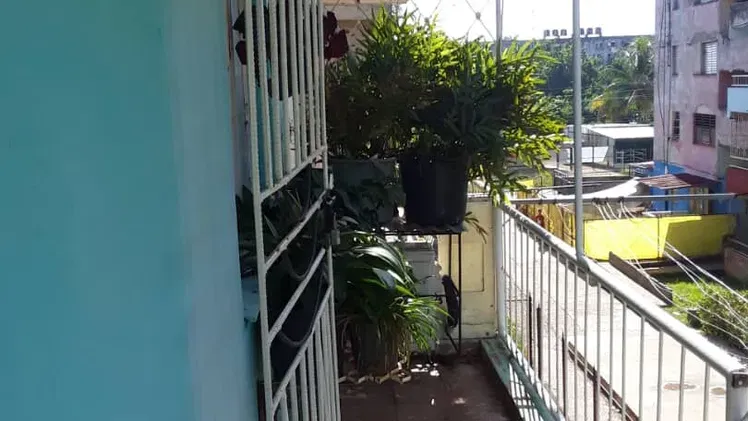 Vista de la propiedad 4