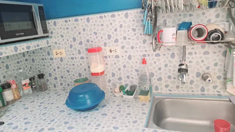 Vista de la propiedad 7