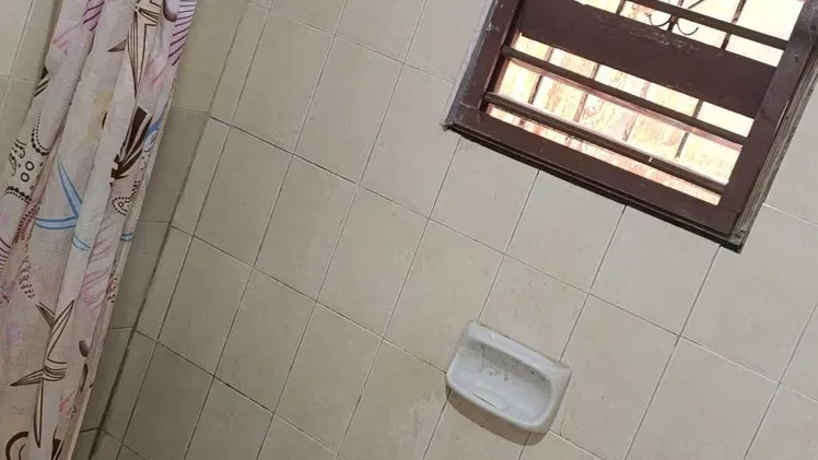 Vista de la propiedad 8