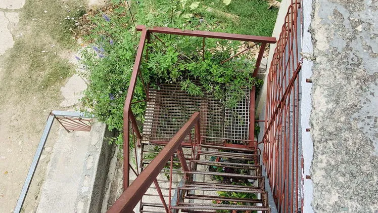 Vista de la propiedad 10