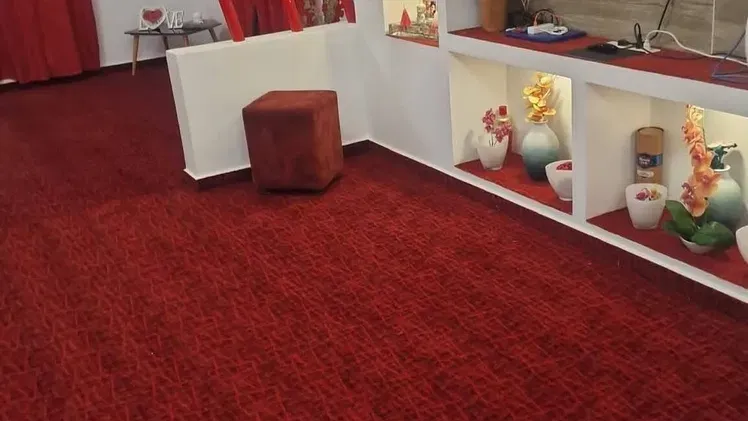 Vista de la propiedad 4