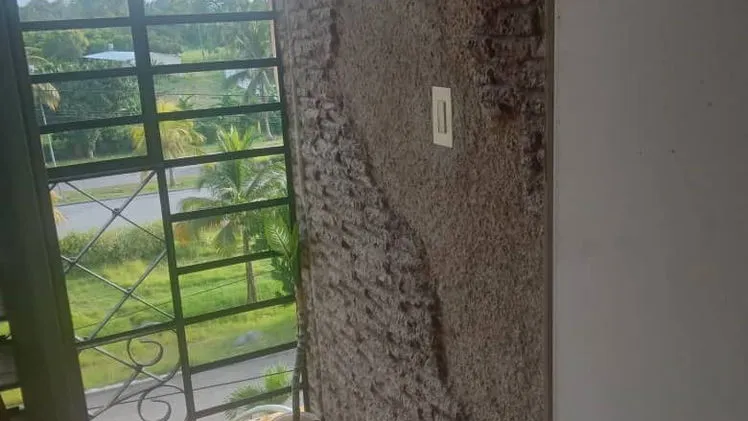 Vista de la propiedad 2