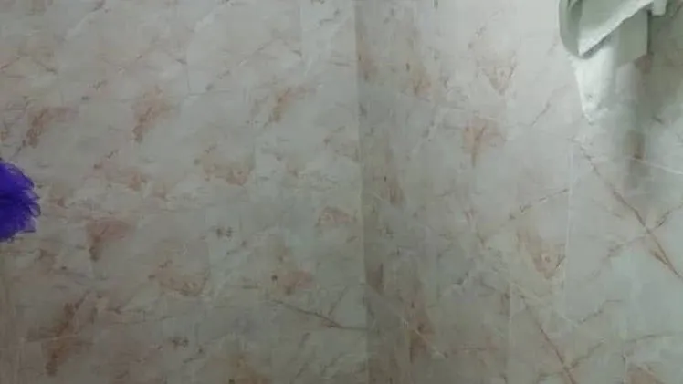 Vista de la propiedad 4