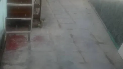 Vista de la propiedad 4