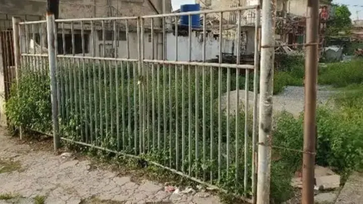 Property view 3