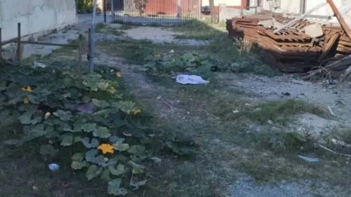 Property view 8