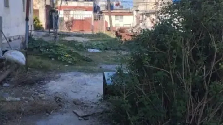 Property view 10