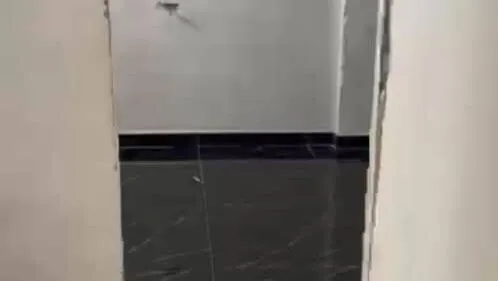 Vista de la propiedad 7