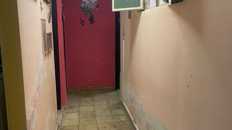 Vista de la propiedad 7