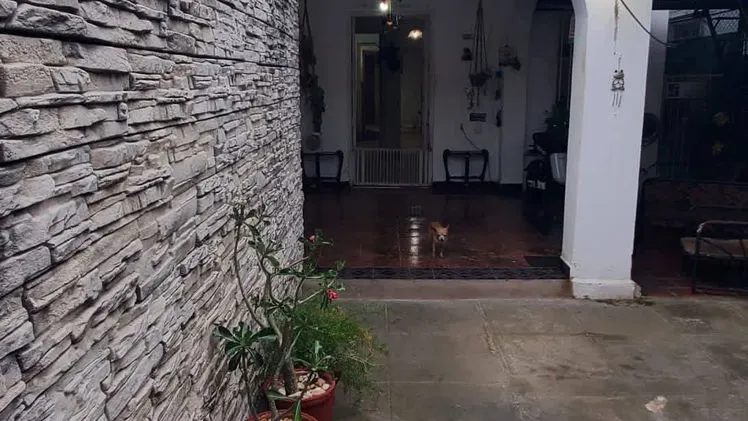 Vista de la propiedad 7