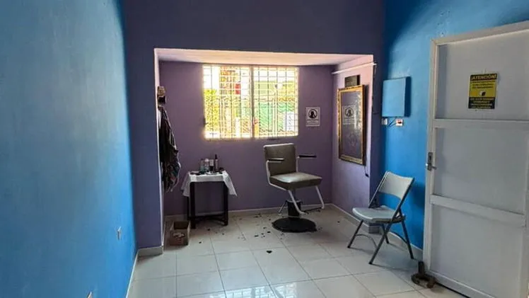 Vista de la propiedad 8