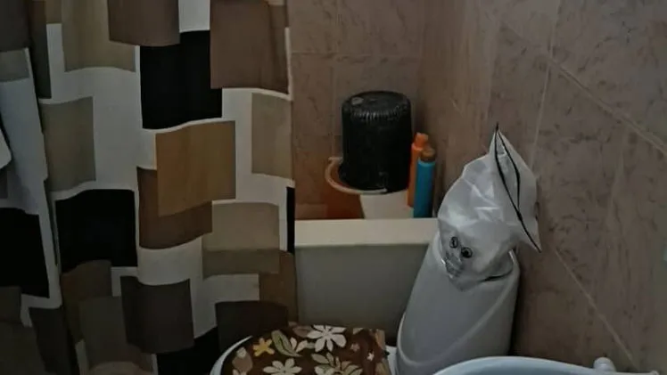 Vista de la propiedad 7