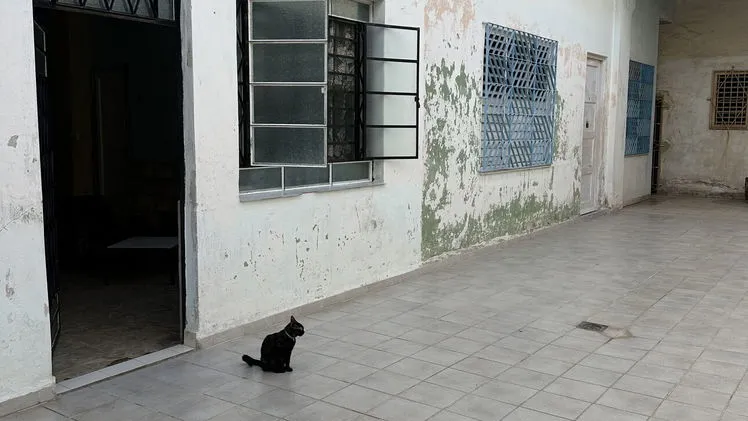 Vista de la propiedad 3