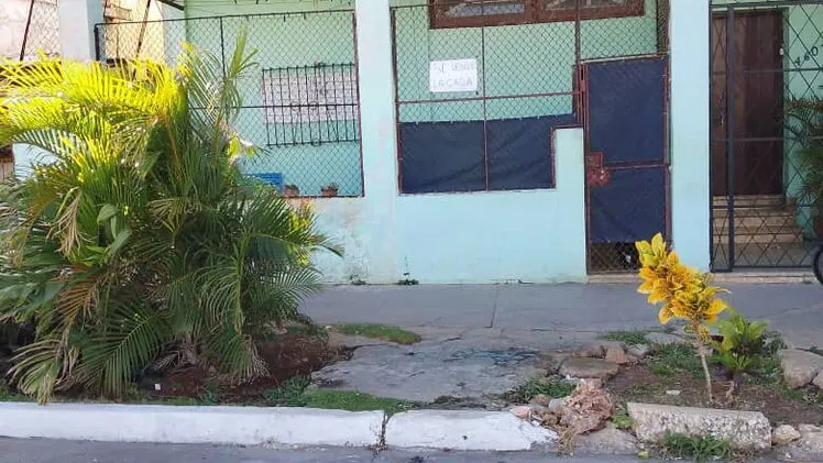 Vista de la propiedad 7